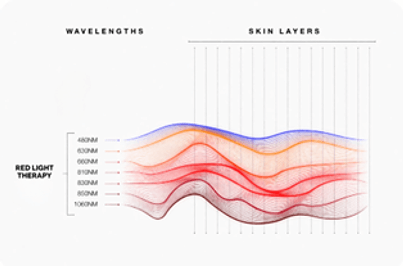 Diagram of red and near-infrared wavelengths penetrating the skin layers