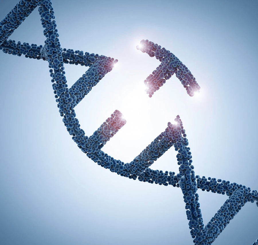 Illustration of a DNA double helix